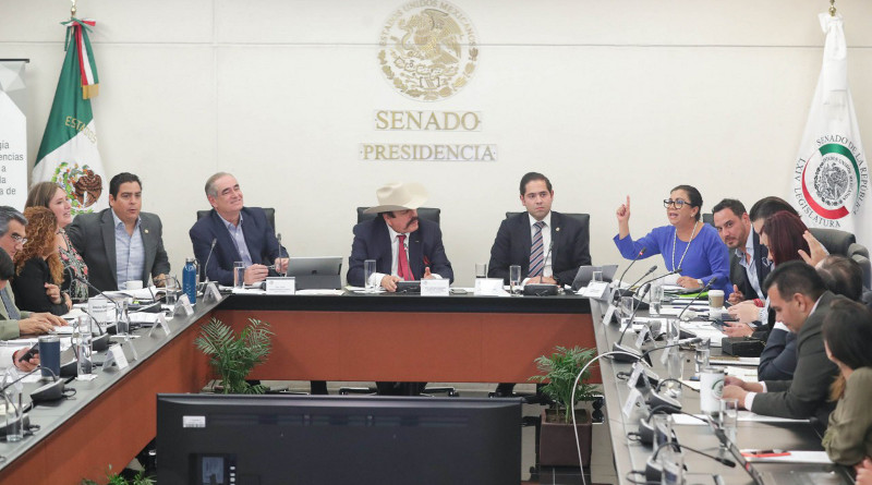 Nuevo intento en el Senado para designar titular de la CRE