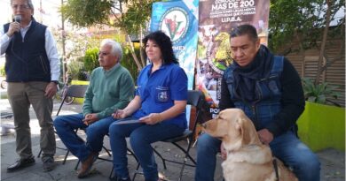 "Las mascotas y animales de compañía no son juguetes, sino seres vivos que tienen necesidades de alimentación, de salud y de un espacio físico que deberán ser atendidas", advirtió la Doctora Veterinaria Aída Álvarez Salas, Presidente del Colegio de Médicos Veterinarios Zootecnistas de México, A.C. (COMVEMEX).